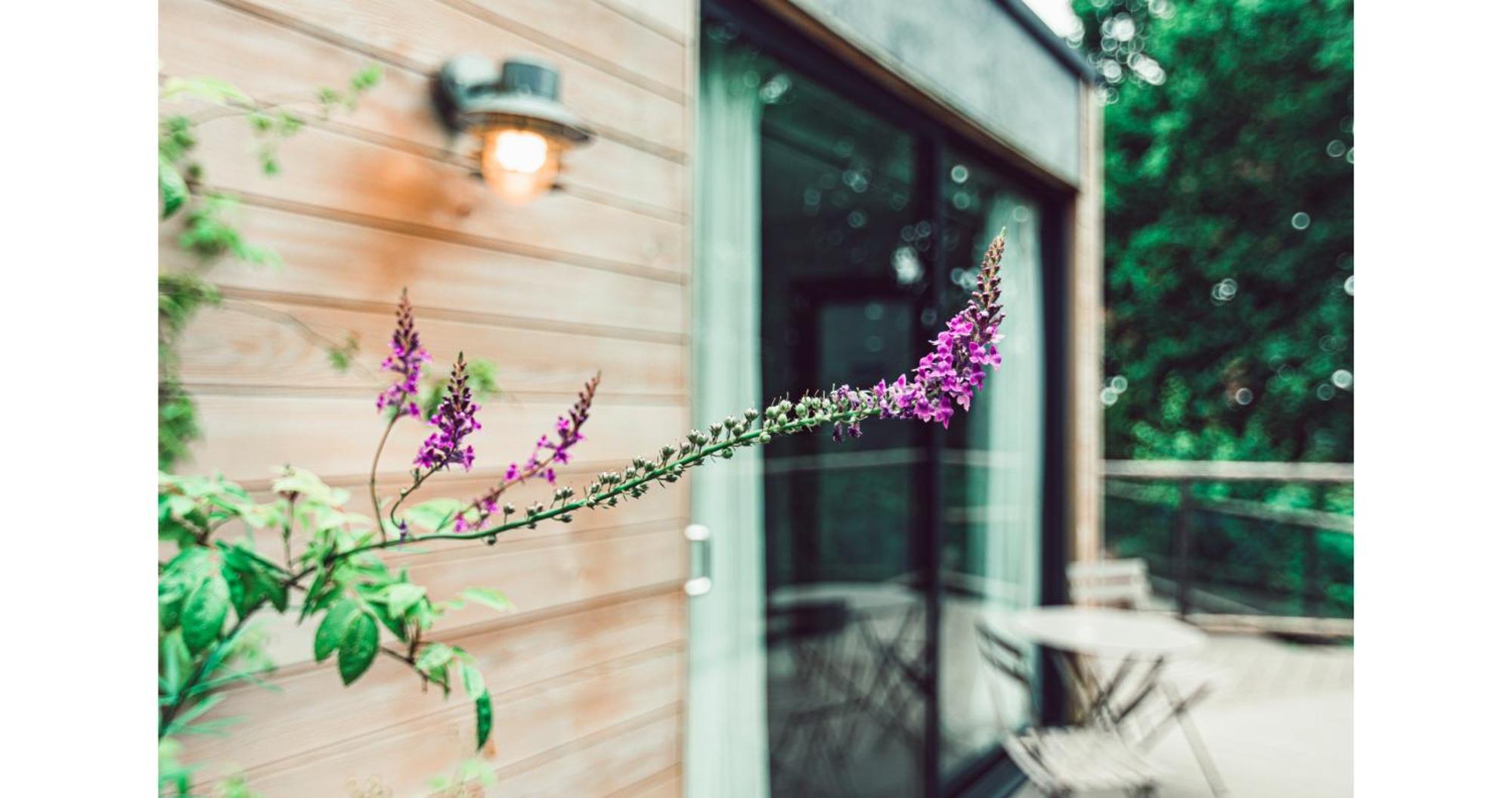 Clophill Eco Lodges Eksteriør billede
